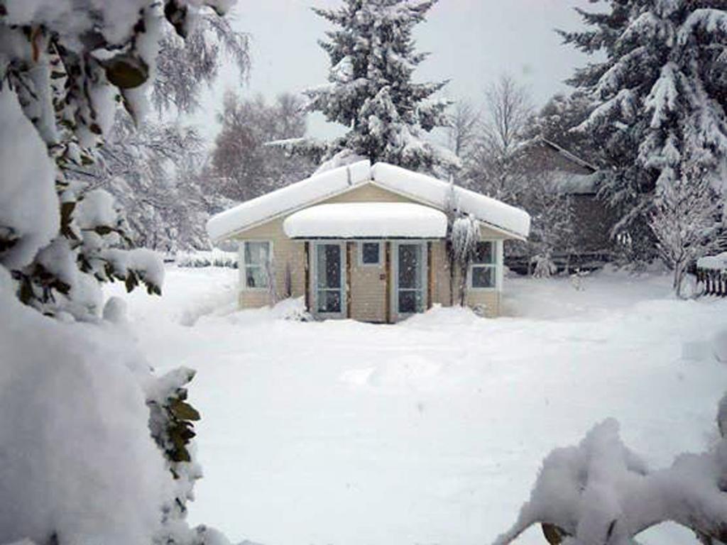 Tailor Made Tekapo Accommodation - Guesthouse & Hostel Lake Tekapo Room photo